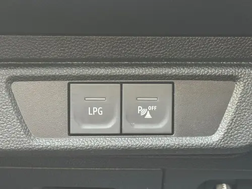 Dacia Sandero ECO-G 100 - 22 Stepway Confort - Photo 23