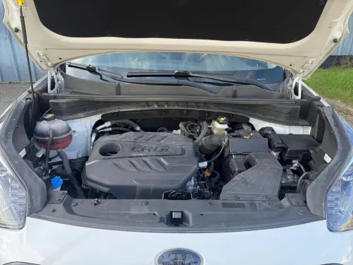 Kia Sportage 1.6 CRDi 136ch MHEV ISG BVM6 4x2 Black Edition - Photo 19