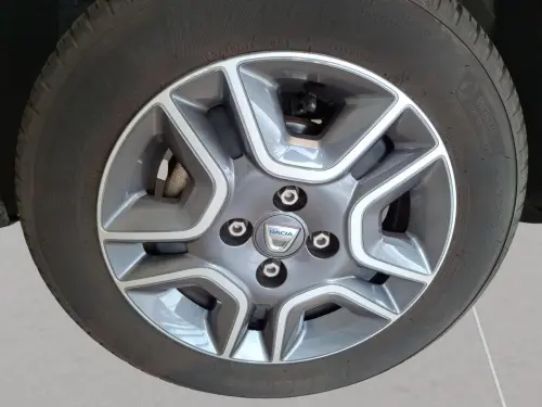 Dacia Spring Achat Intégral Business 2020 - Photo 8