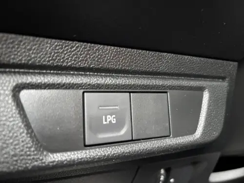 Dacia Sandero ECO-G 100 - 22 Stepway Confort - Photo 22