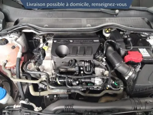 Ford Fiesta 1.0 EcoBoost 125ch mHEV Titanium Business 5p - Photo 15