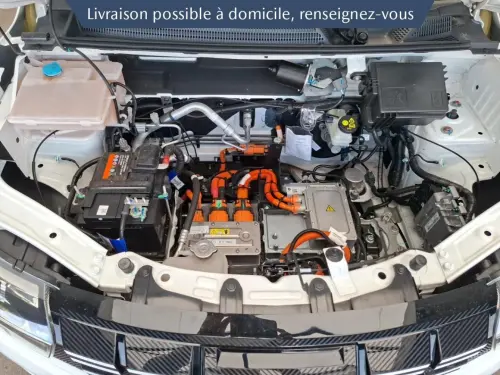 Dacia Spring 65ch Extreme - Photo 19