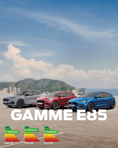 Gamme E85 d'occasion
