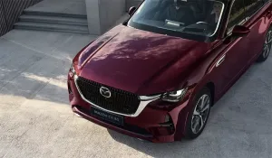 CX-80