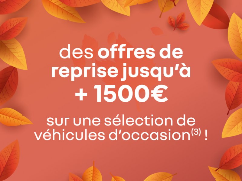 Les Automnales de l'Occasion