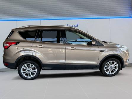 FORD Kuga Kuga 1.5 TDCi 120 S&S 4x2 BVM6 Titanium Business 5p à vendre à Roanne - Image n°6