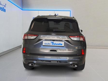 FORD Kuga 2.5 Duratec 190 ch FlexiFuel FHEV E85 Powershift ST-Line X à vendre à Villefranche-sur-Saône - Image n°4