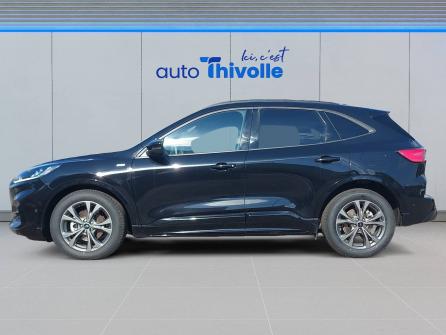 FORD Kuga Kuga 2.5 Duratec 190 ch FlexiFuel FHEV E85 Powershift ST-Line 5p à vendre à Villefranche-sur-Saône - Image n°2