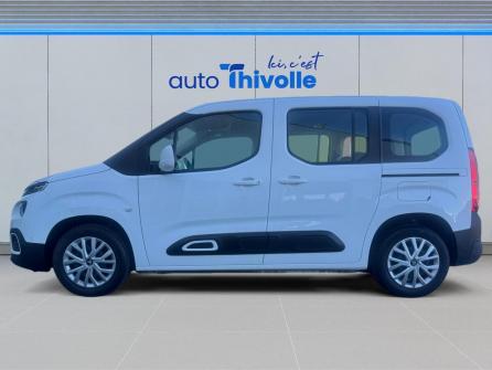 CITROEN Berlingo Taille M BlueHDi 130 S&S BVM6 Feel à vendre à Macon - Image n°2