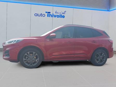 FORD Kuga Kuga 2.5 Duratec 225 ch PHEV Powershift ST-Line 5p à vendre à Villefranche-sur-Saône - Image n°2