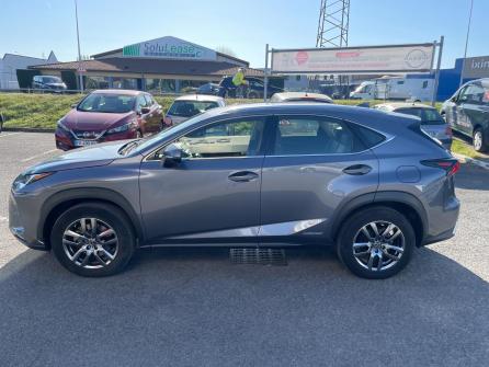 LEXUS NX 300h 2WD Pack Business à vendre à Chalon-sur-Saône - Image n°3