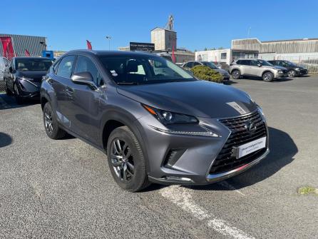 LEXUS NX 300h 2WD Pack Business à vendre à Chalon-sur-Saône - Image n°5