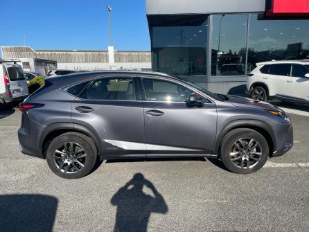 LEXUS NX 300h 2WD Pack Business à vendre à Chalon-sur-Saône - Image n°6