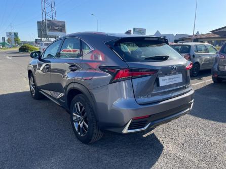 LEXUS NX 300h 2WD Pack Business à vendre à Chalon-sur-Saône - Image n°7