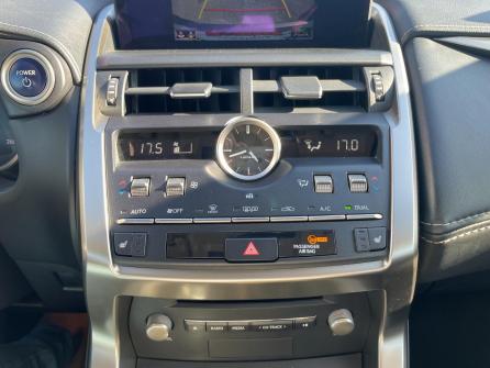 LEXUS NX 300h 2WD Pack Business à vendre à Chalon-sur-Saône - Image n°14