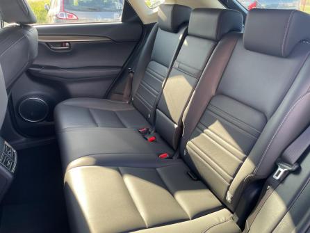 LEXUS NX 300h 2WD Pack Business à vendre à Chalon-sur-Saône - Image n°18