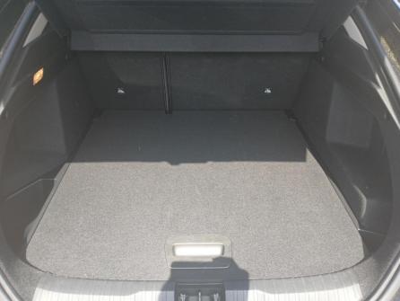 RENAULT Arkana TCe 140 EDC FAP Business à vendre à Saint-Etienne - Image n°17