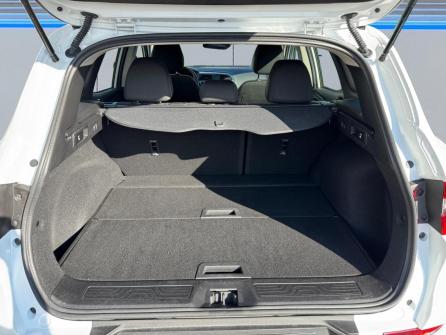 RENAULT Kadjar Blue dCi 115 Business à vendre à Saint-Chamond - Image n°18