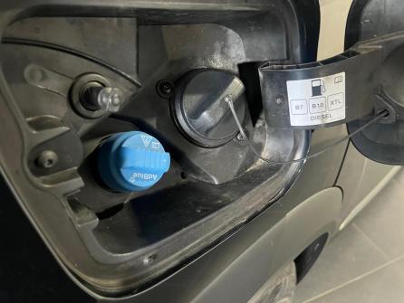 RENAULT Captur Blue dCi 115 Business à vendre à Macon - Image n°20